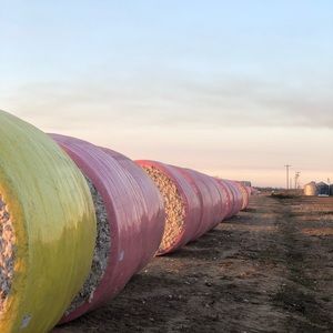 Meet your Posher, Mikelle